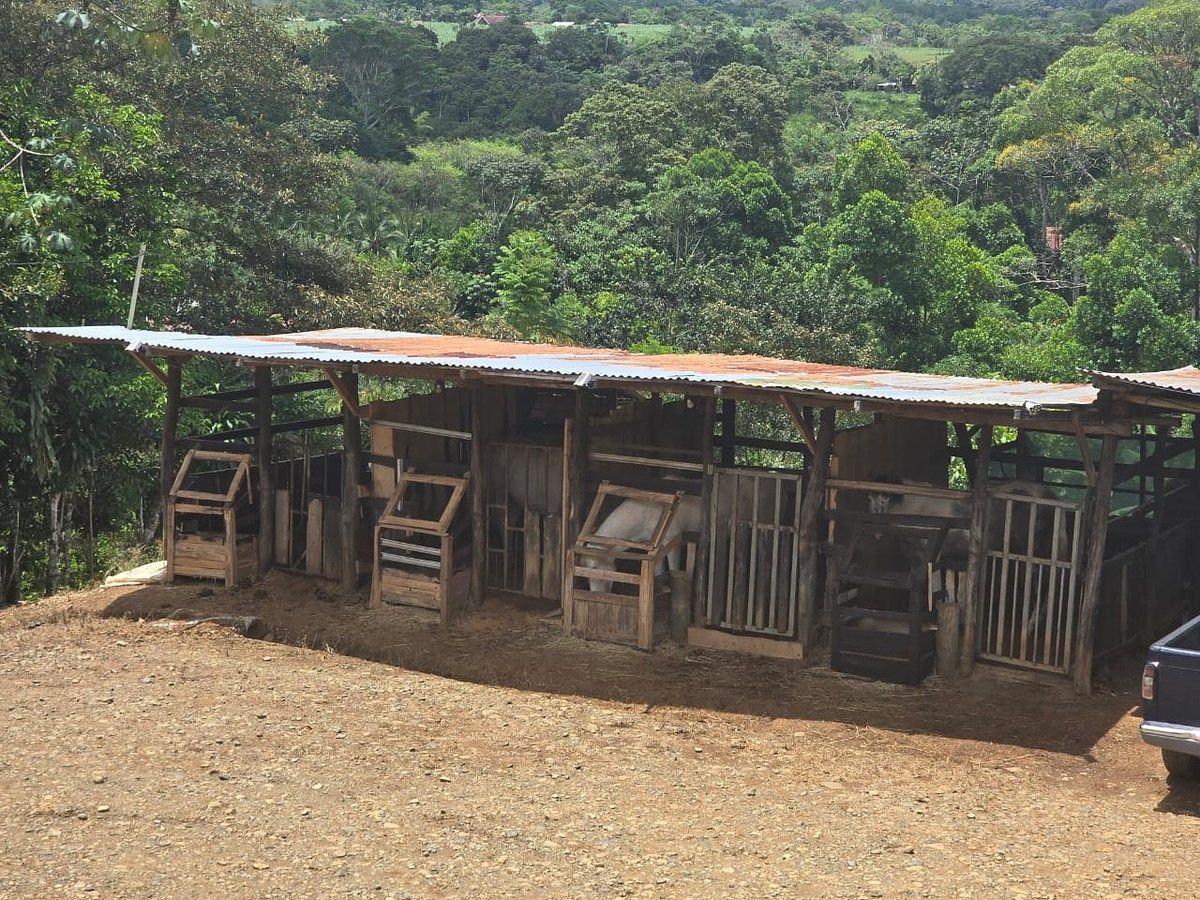 Finca en Pérez Zeledón, foto 9 de 18