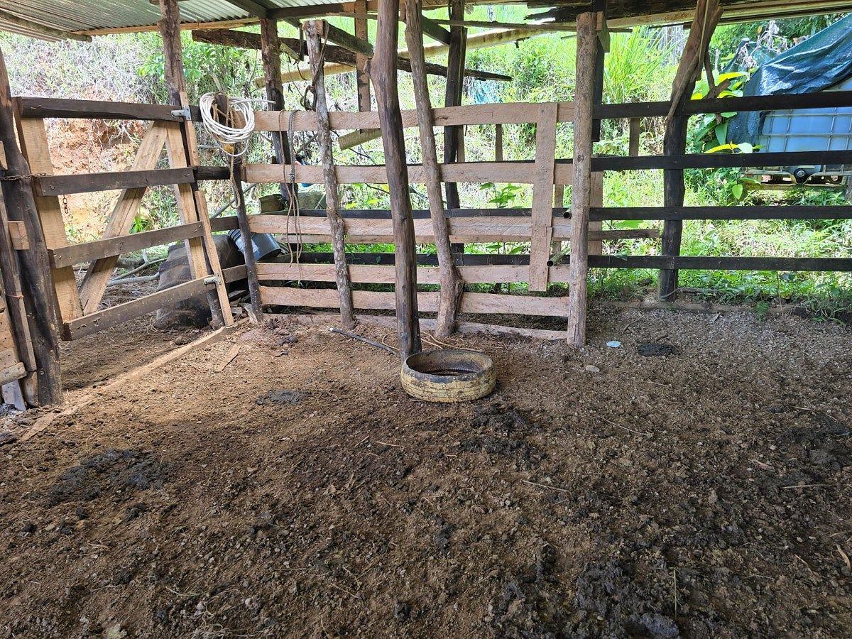 Finca en Pérez Zeledón, foto 11 de 18