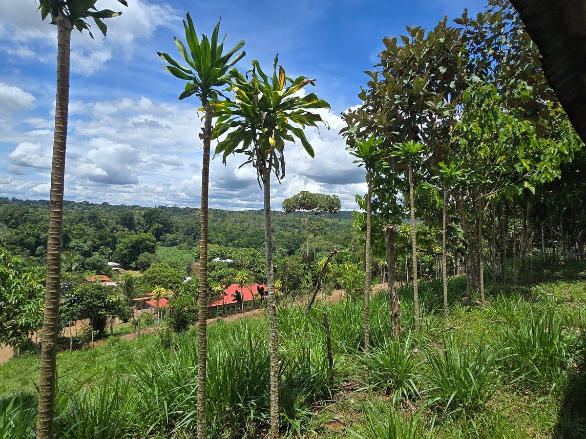 Finca en Pérez Zeledón, foto 14 de 18