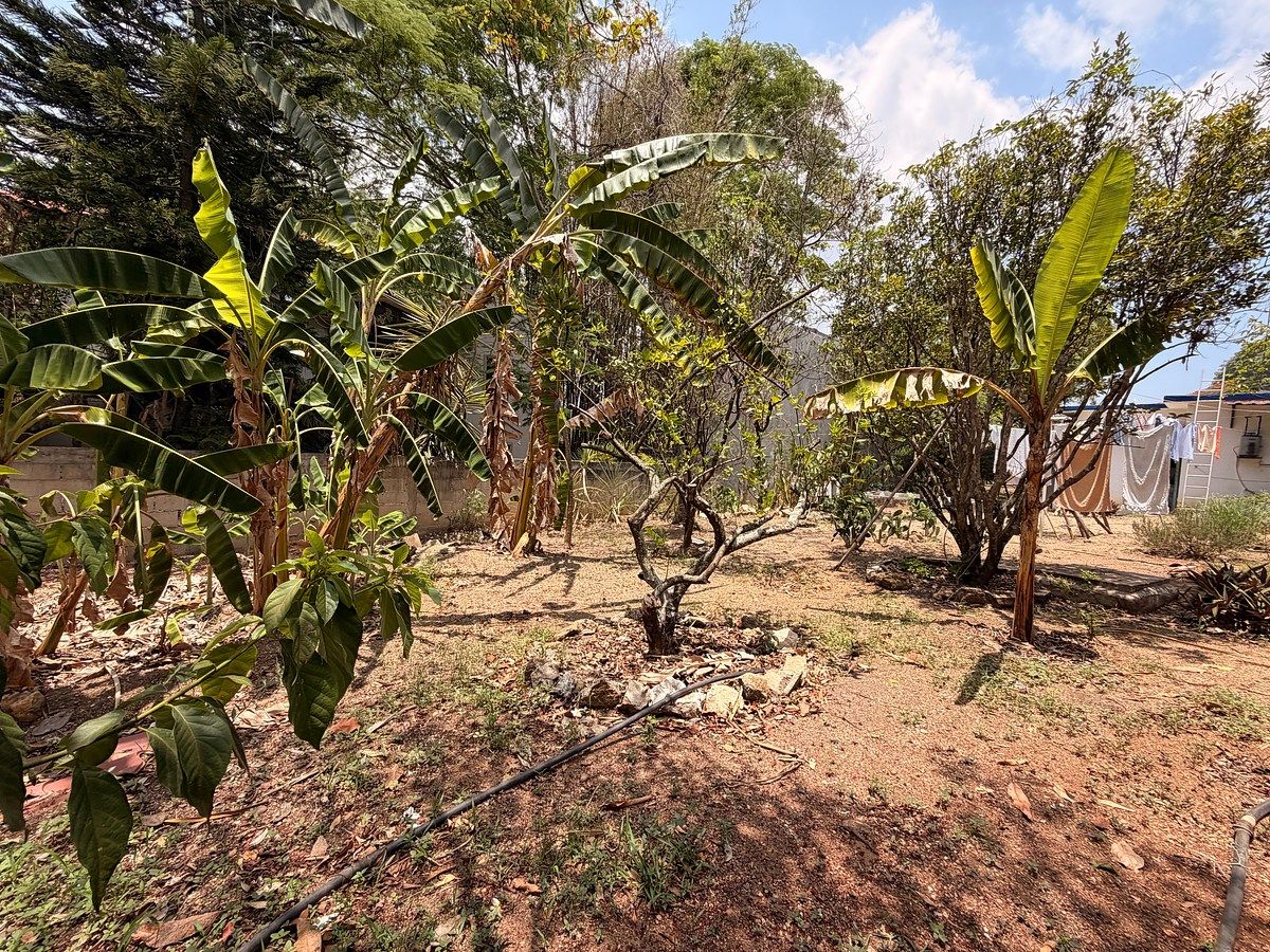 Quinta en Fraccionamiento Don Ventura, San Fernando, foto 22 de 33