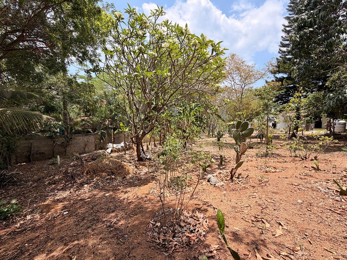 Quinta en Fraccionamiento Don Ventura, San Fernando, foto 31 de 33