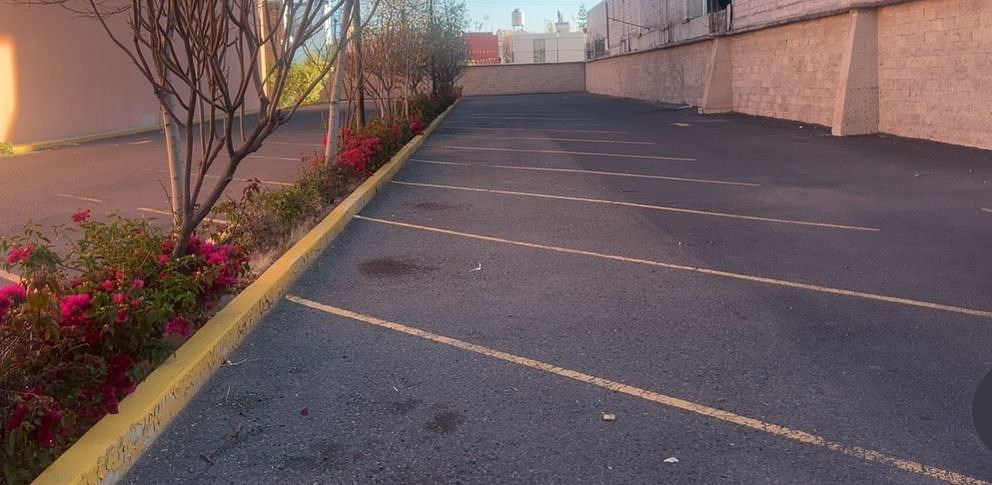 Otro en Primera Fracción de Crespo (El Tanque), Celaya, foto 18 de 19