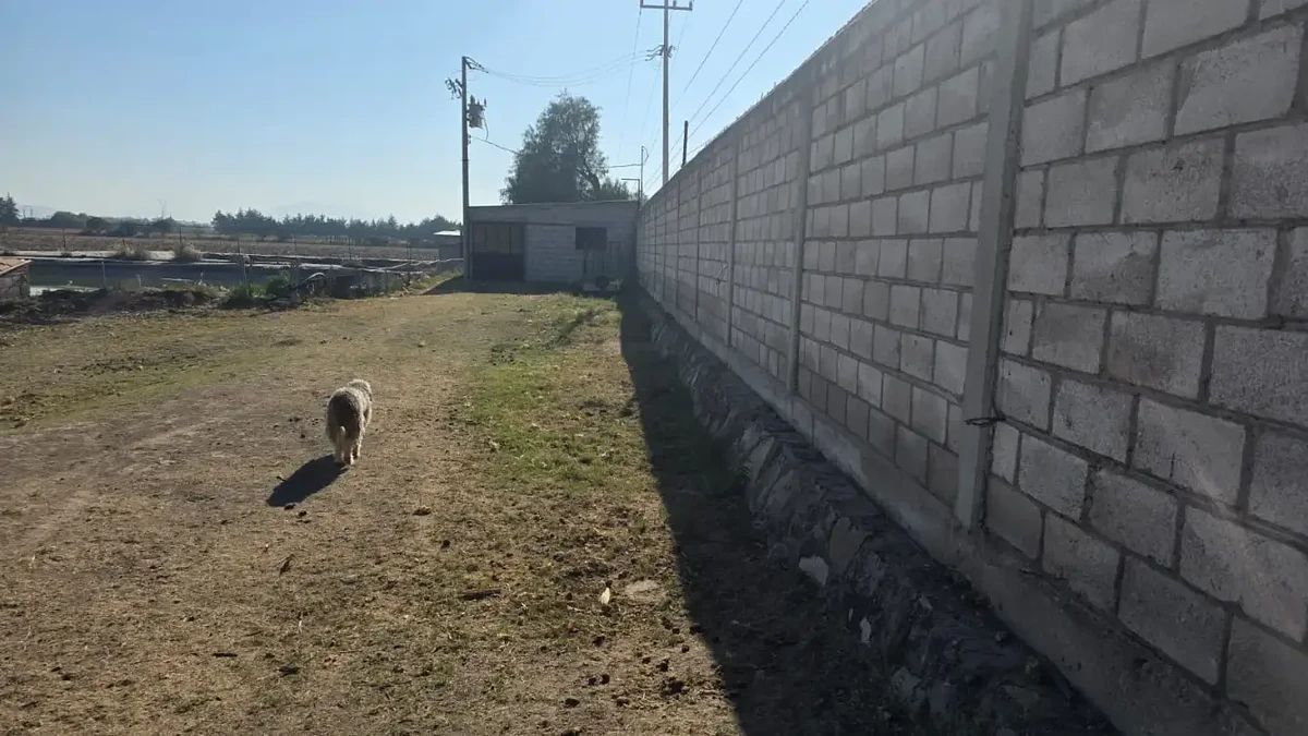 Terreno en Hacienda Galindo, Querétaro, foto 5 de 16