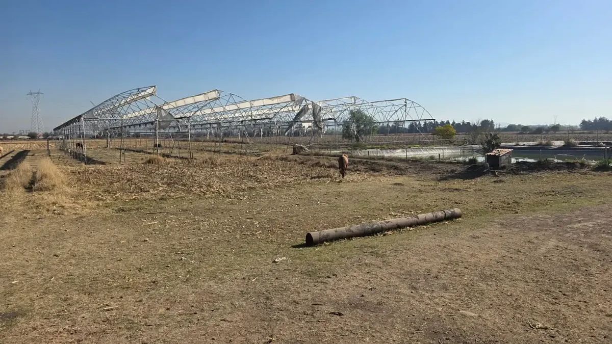Terreno en Hacienda Galindo, Querétaro, foto 9 de 16