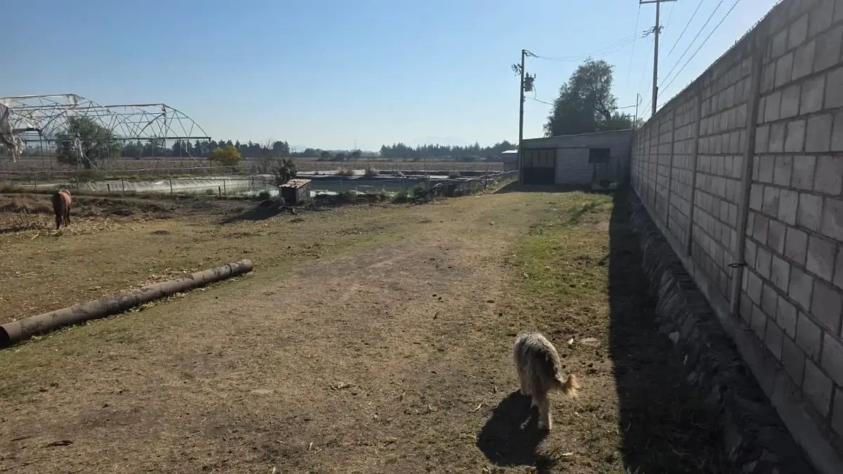 Terreno en Hacienda Galindo, Querétaro, foto 11 de 16