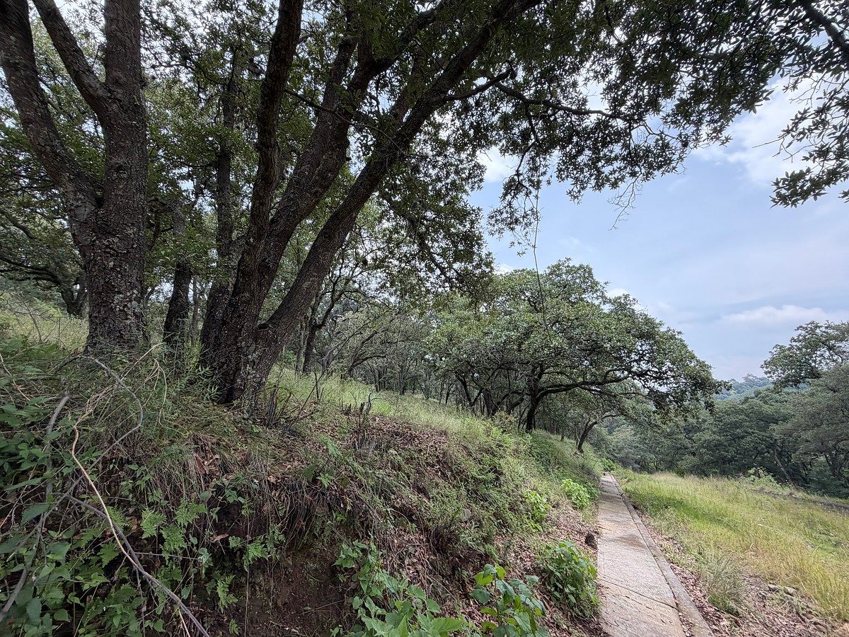 Lote em Villa del Carbón, Villa del Carbón, foto 4 de 14