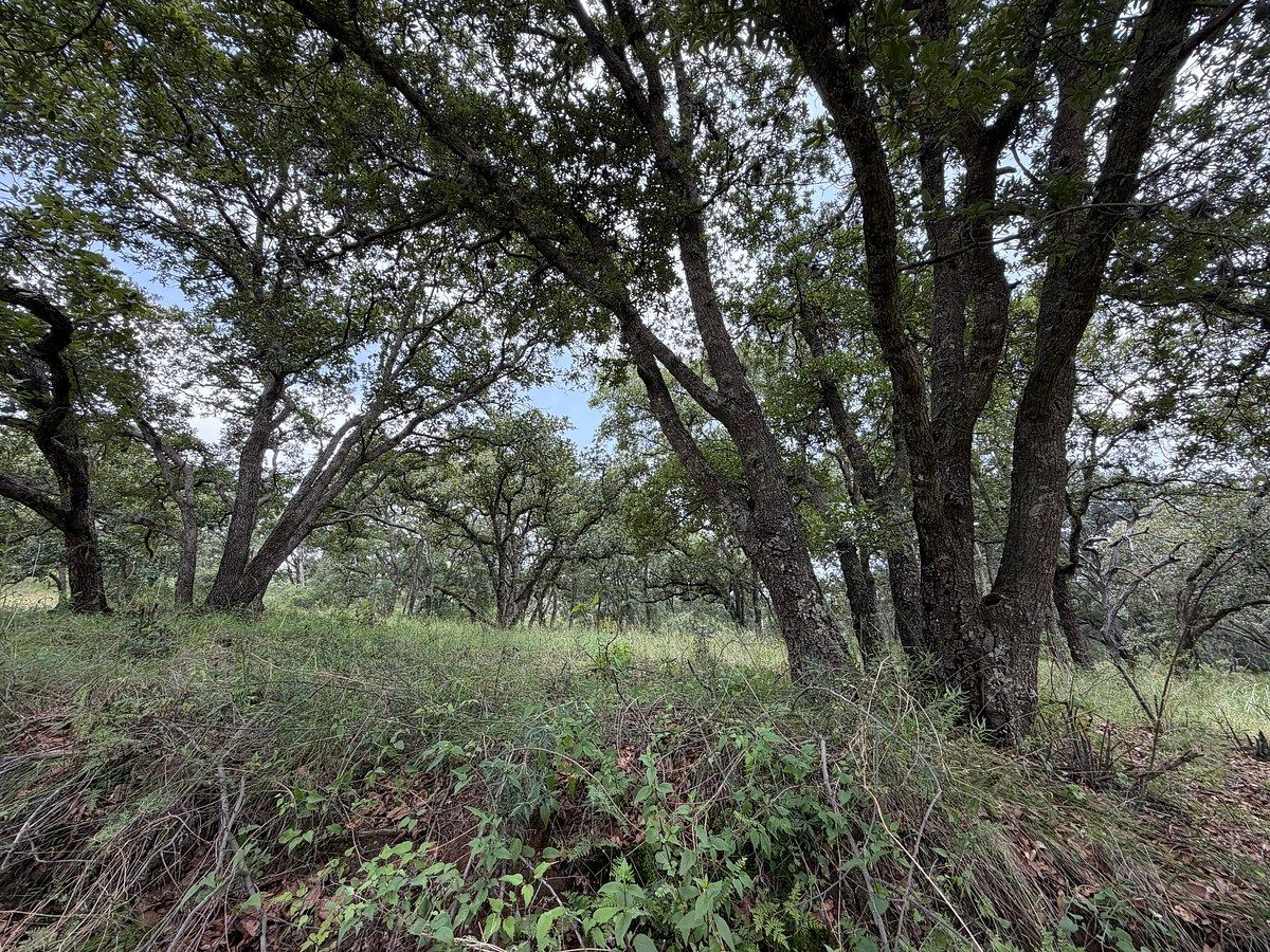 Lote em Villa del Carbón, Villa del Carbón, foto 5 de 14