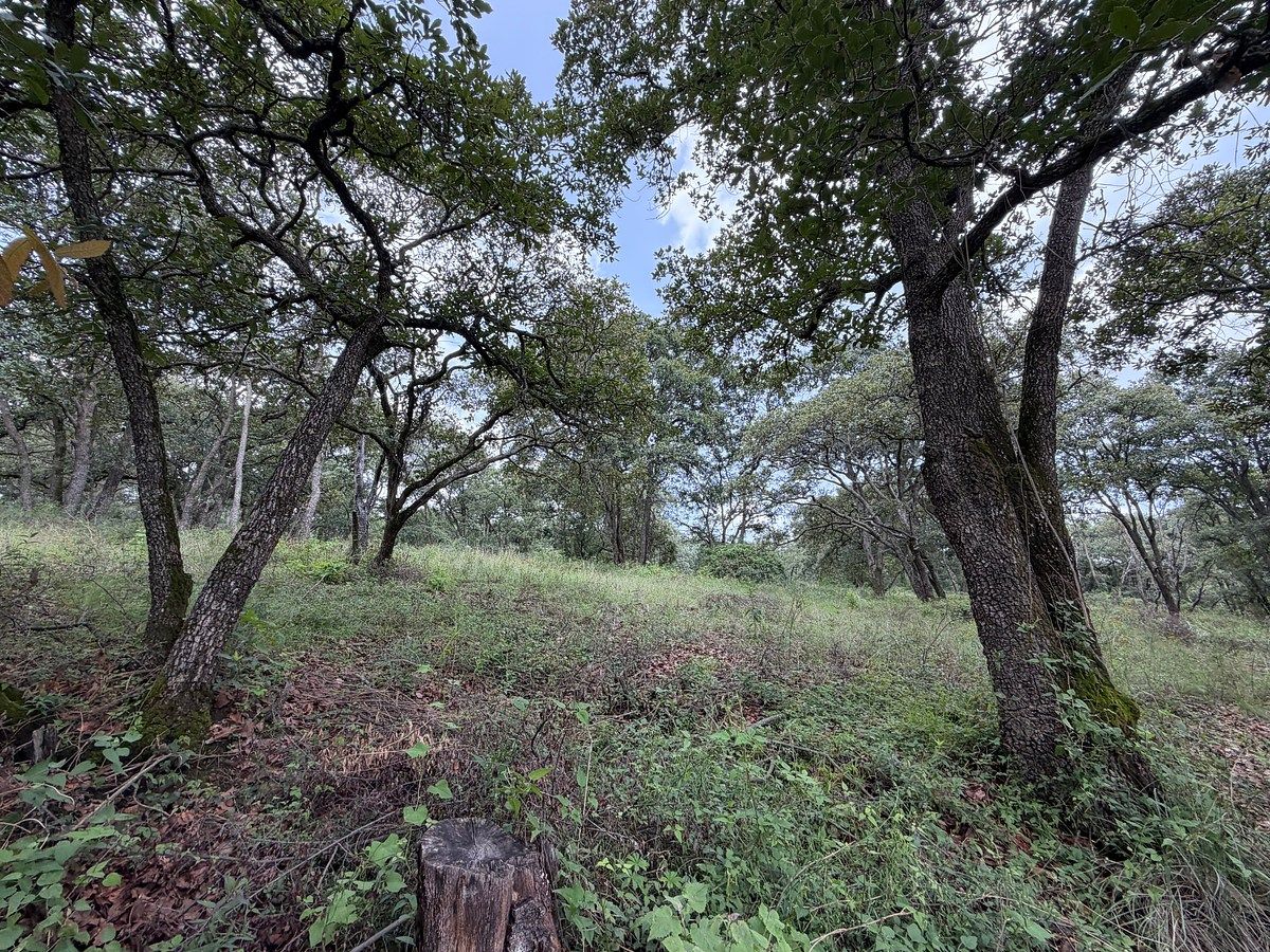 Lote em Villa del Carbón, Villa del Carbón, foto 6 de 14