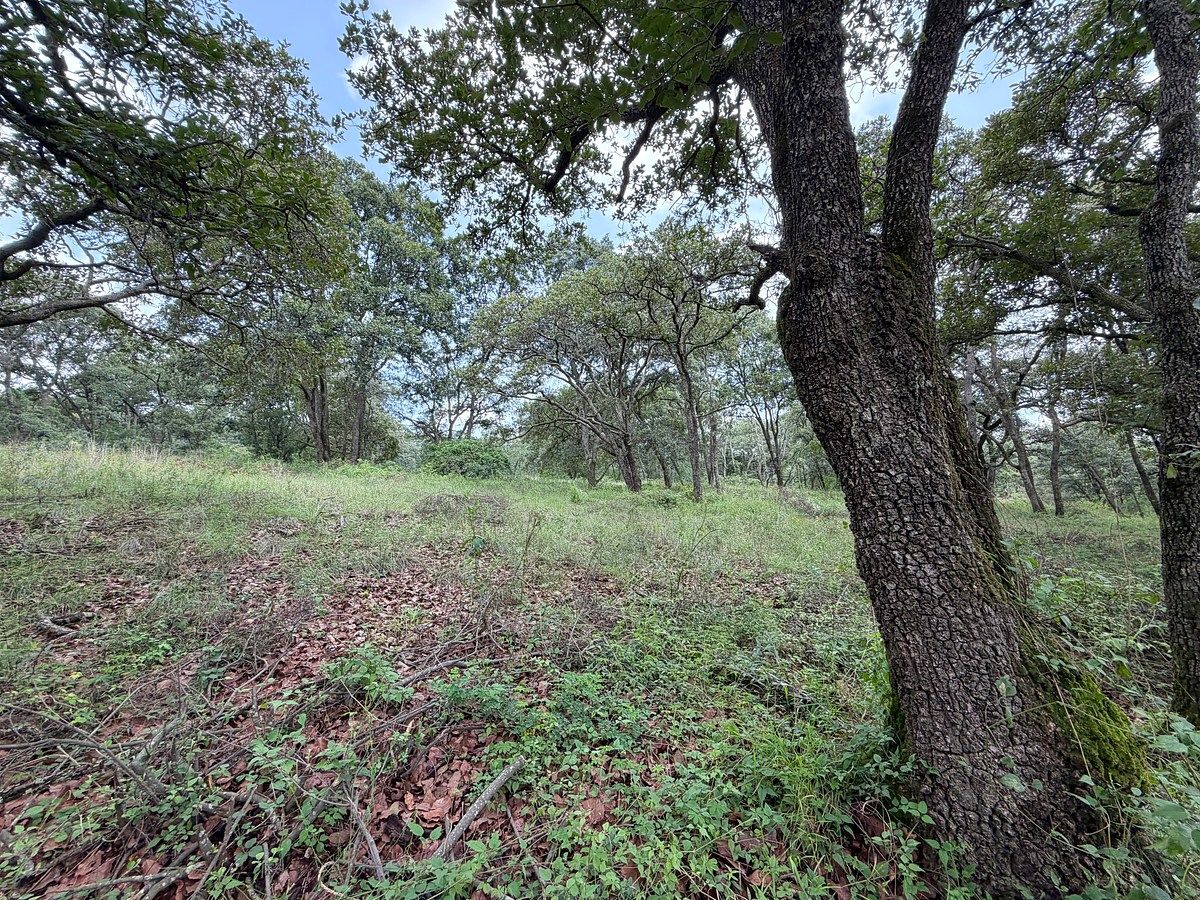 Lote em Villa del Carbón, Villa del Carbón, foto 3 de 14
