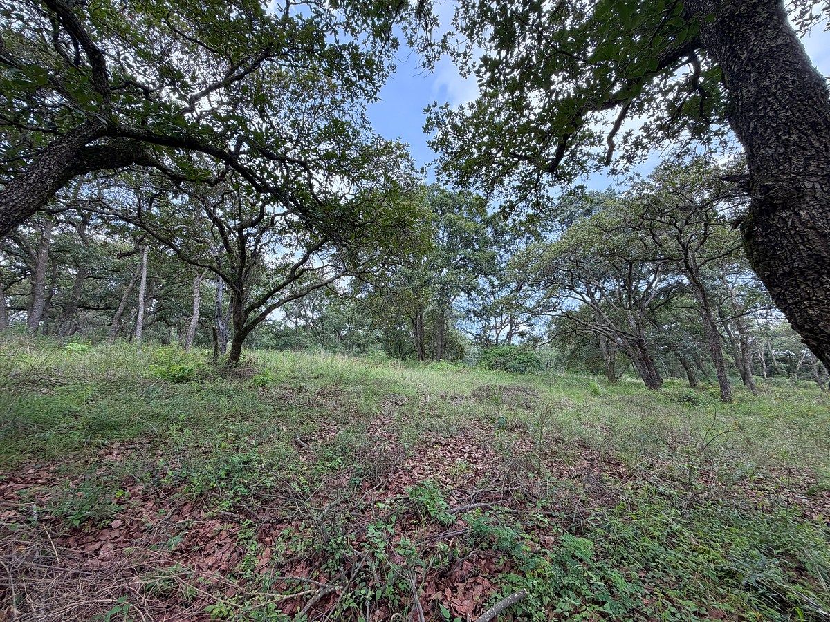 VENDA DE TERRENO EM LOTEAMENTO RURAL, LOTE 12 QUADRA XI, foto 1 de 14