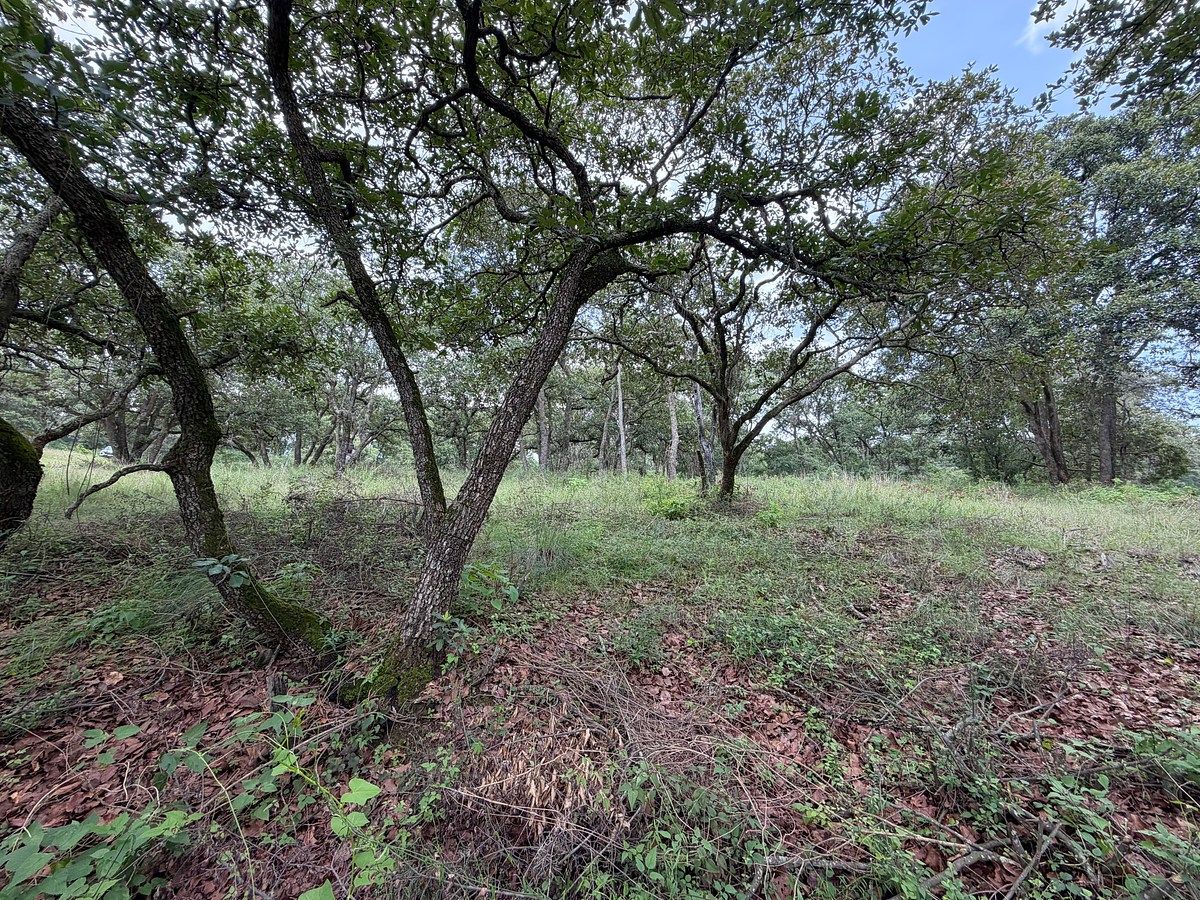 Lote em Villa del Carbón, Villa del Carbón, foto 8 de 14