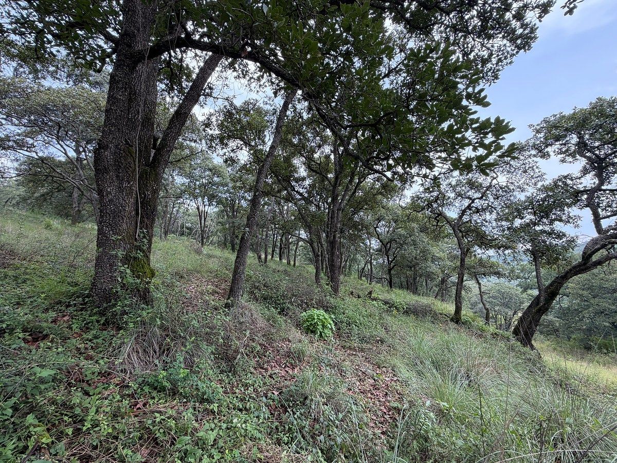 Lote em Villa del Carbón, Villa del Carbón, foto 10 de 14