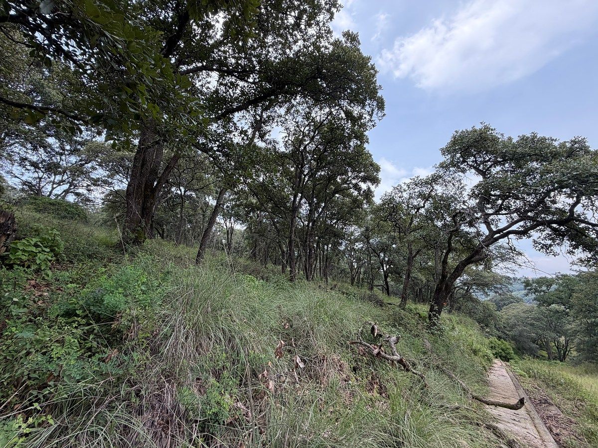 Lote em Villa del Carbón, Villa del Carbón, foto 11 de 14