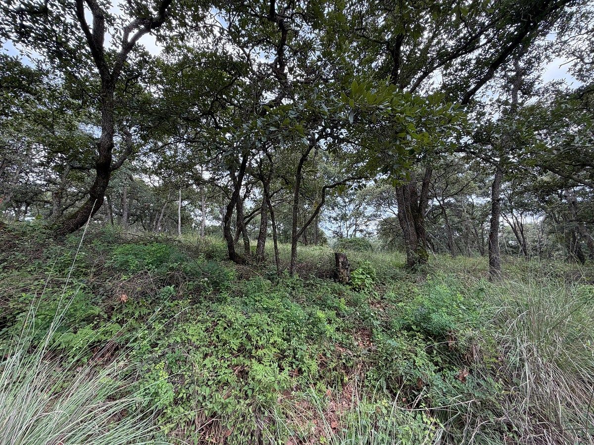 Lote em Villa del Carbón, Villa del Carbón, foto 12 de 14
