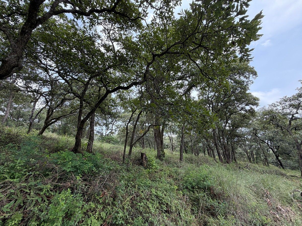 Lote em Villa del Carbón, Villa del Carbón, foto 14 de 14
