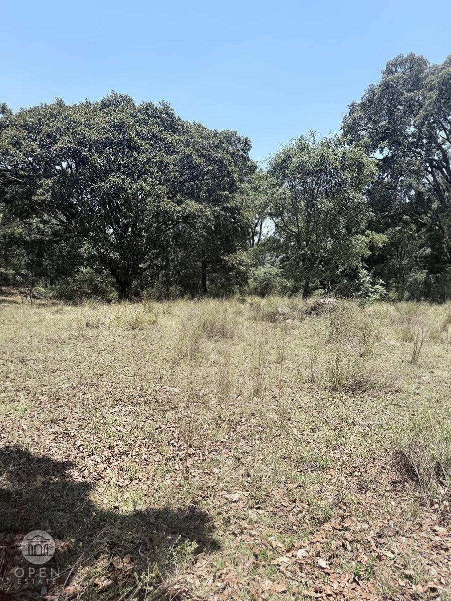 Terreno en Canalejas, Jilotepec, foto 13 de 47