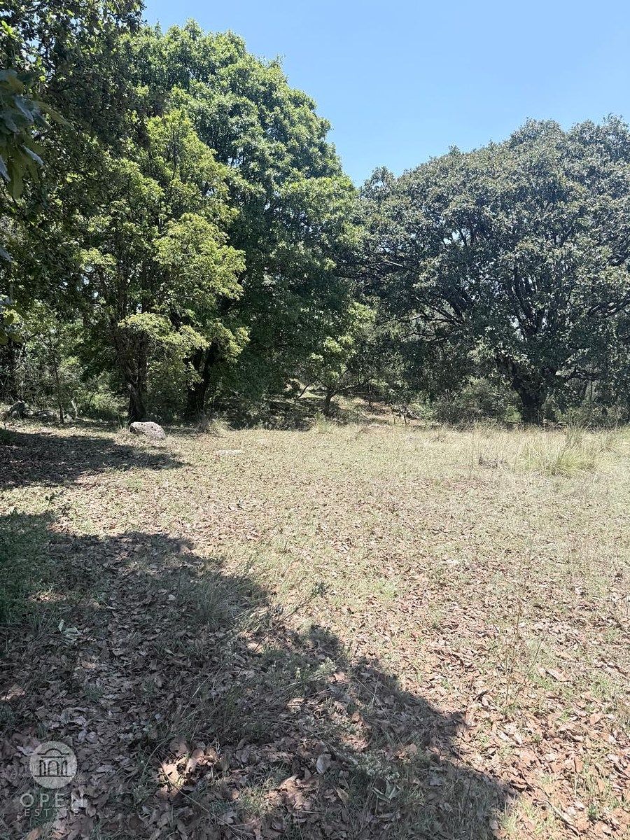 Terreno en Canalejas, Jilotepec, foto 16 de 47