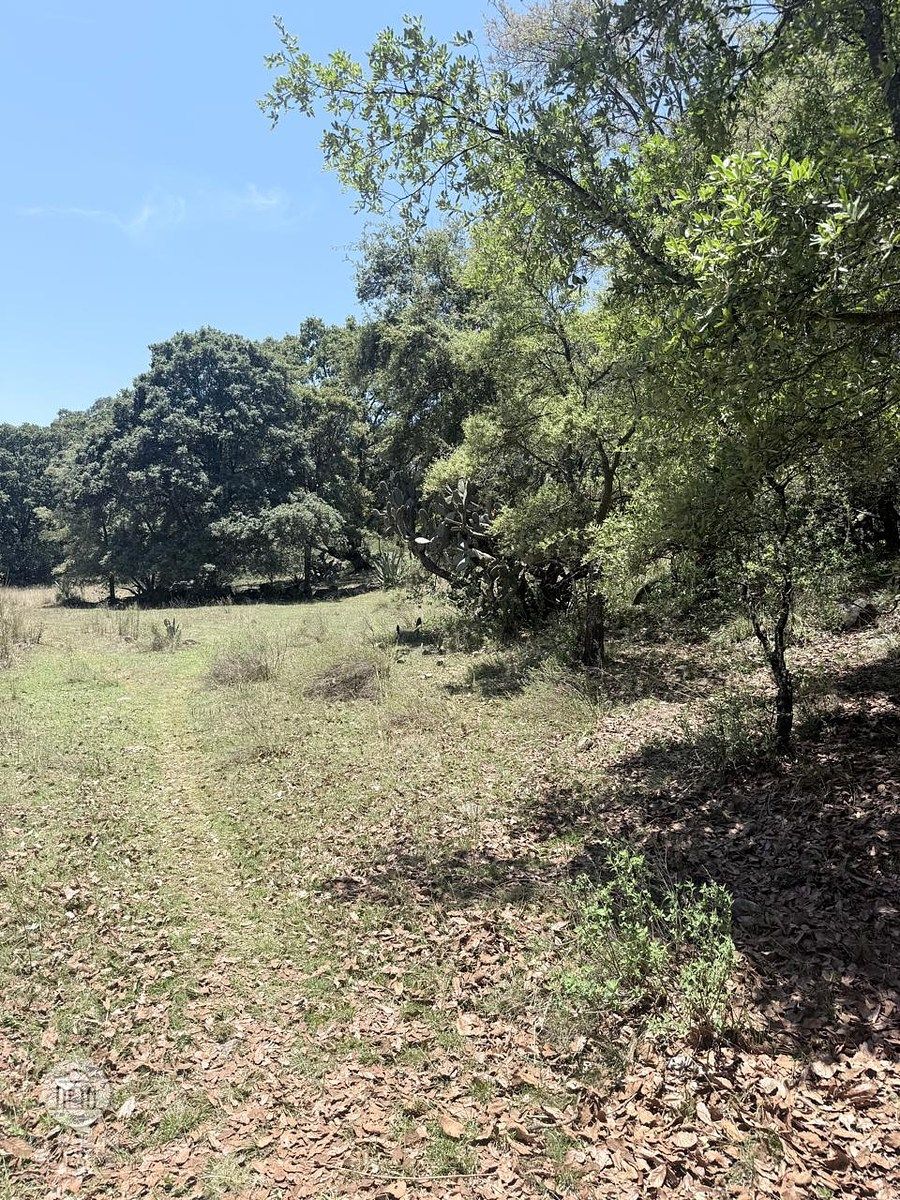 Terreno en Canalejas, Jilotepec, foto 19 de 47