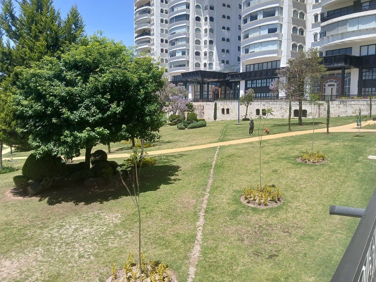 39 de 42