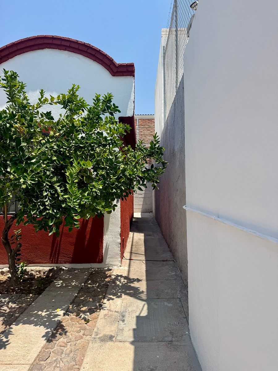 3 de 13