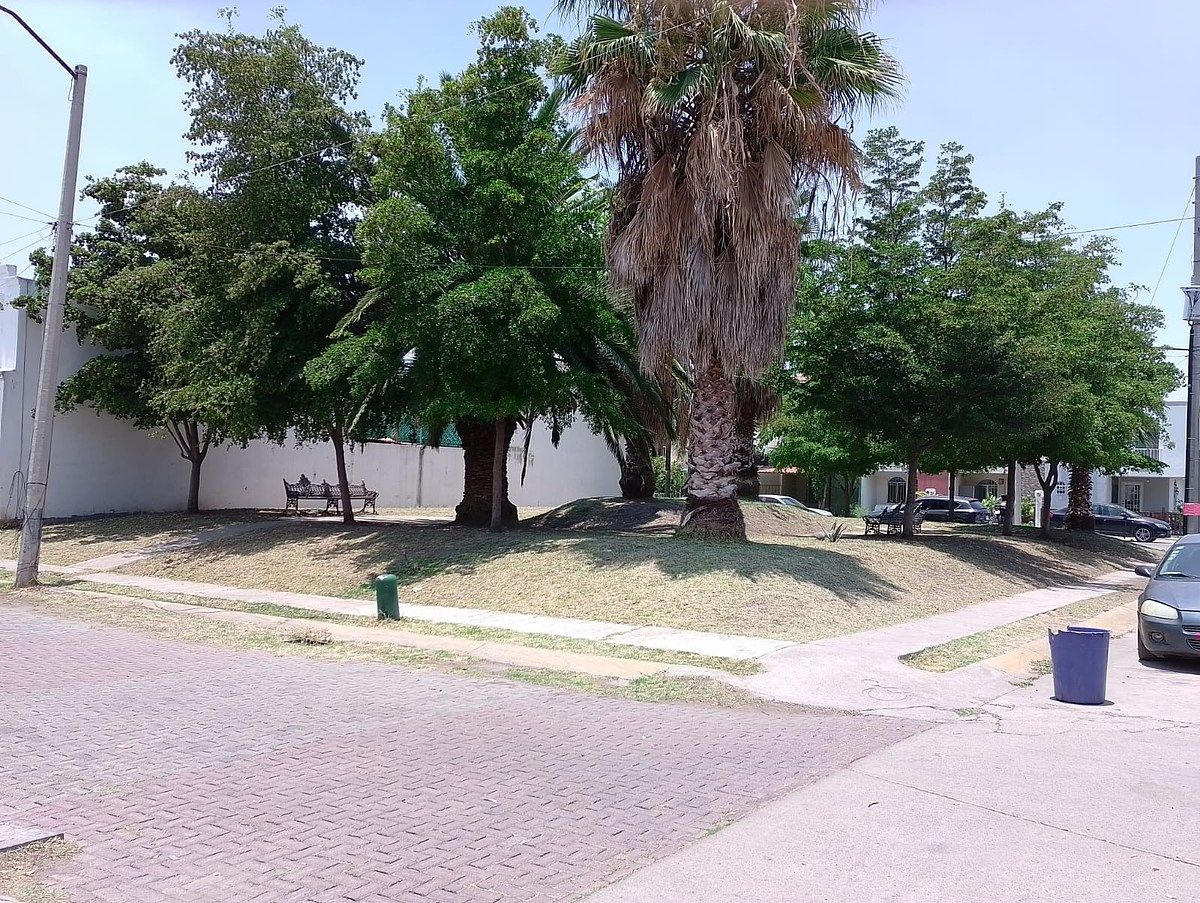 13 de 13