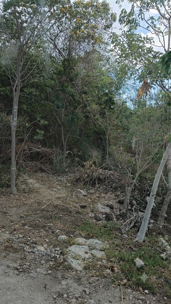 Terreno en La Ceiba, Mérida, foto 2 de 4