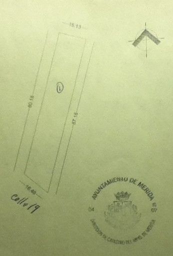 4 de 4