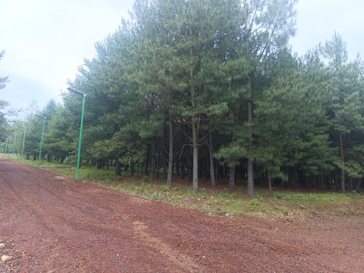 SE VENDE LOTE 12x26 YA ESCRITURADO EN FRACCIONAMIENTO ECOLOGICO EN PATZCUARO, foto 1 de 9