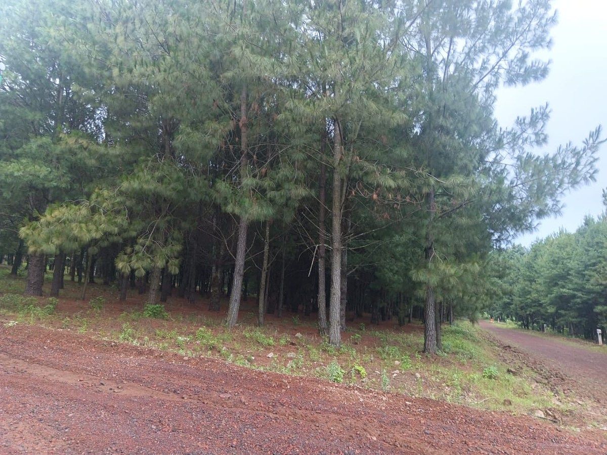 Terreno en Cuanajo, Pátzcuaro, foto 2 de 9