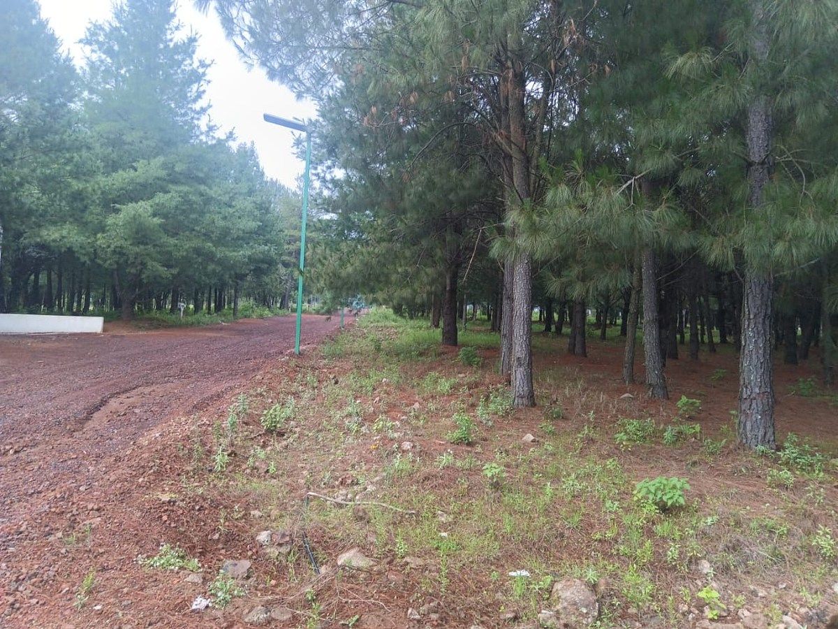 Terreno en Cuanajo, Pátzcuaro, foto 4 de 9