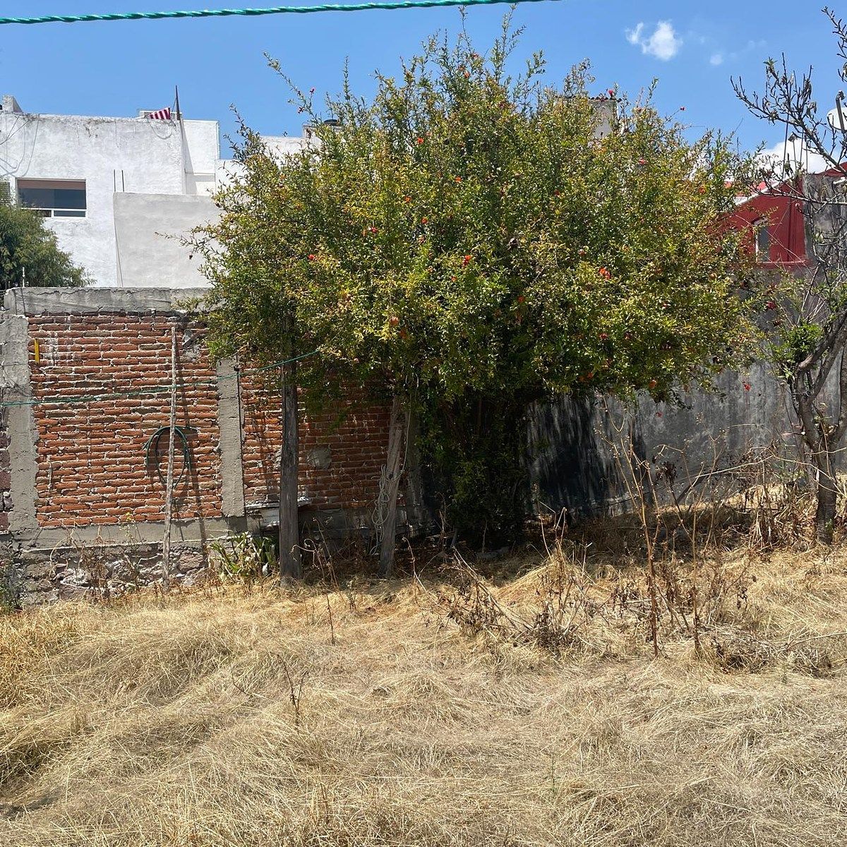 11 de 16