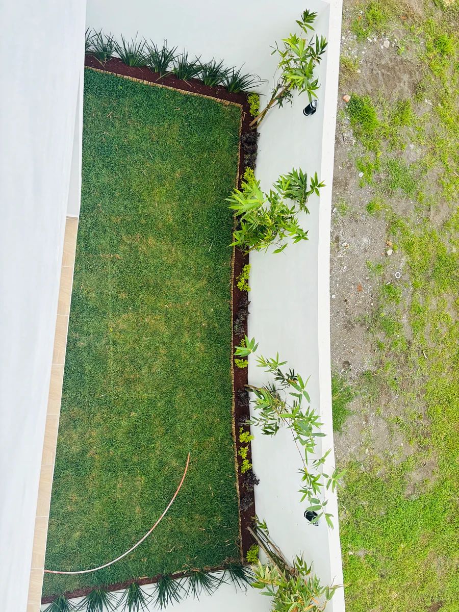Casa en Las Lomas Residencial, Alvarado, foto 5 de 21