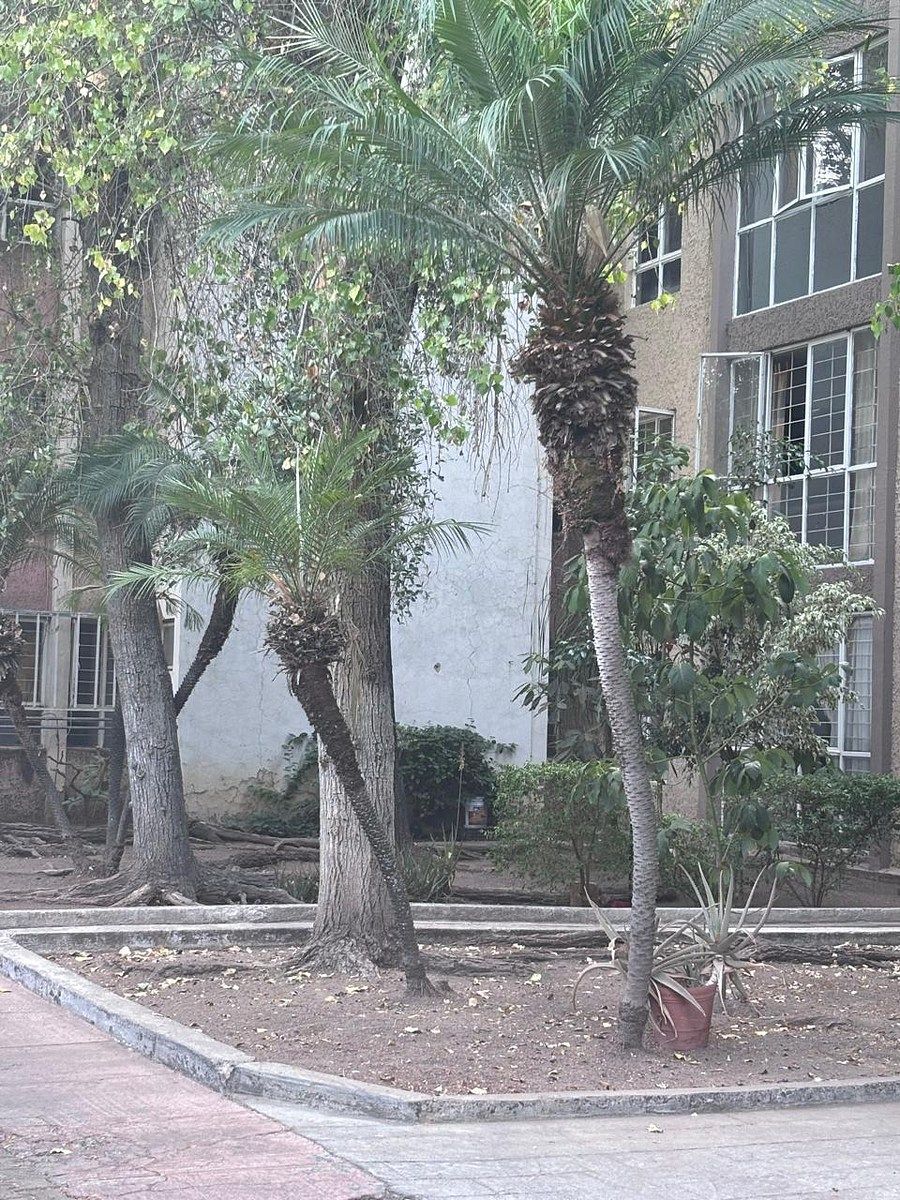 1 de 10