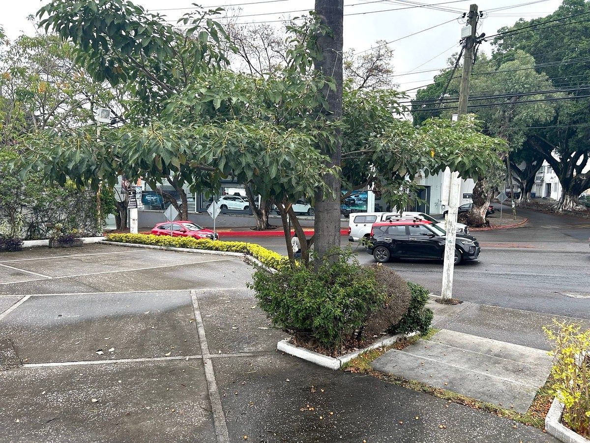Local comercial en Las Palmas, Cuernavaca, foto 10 de 14