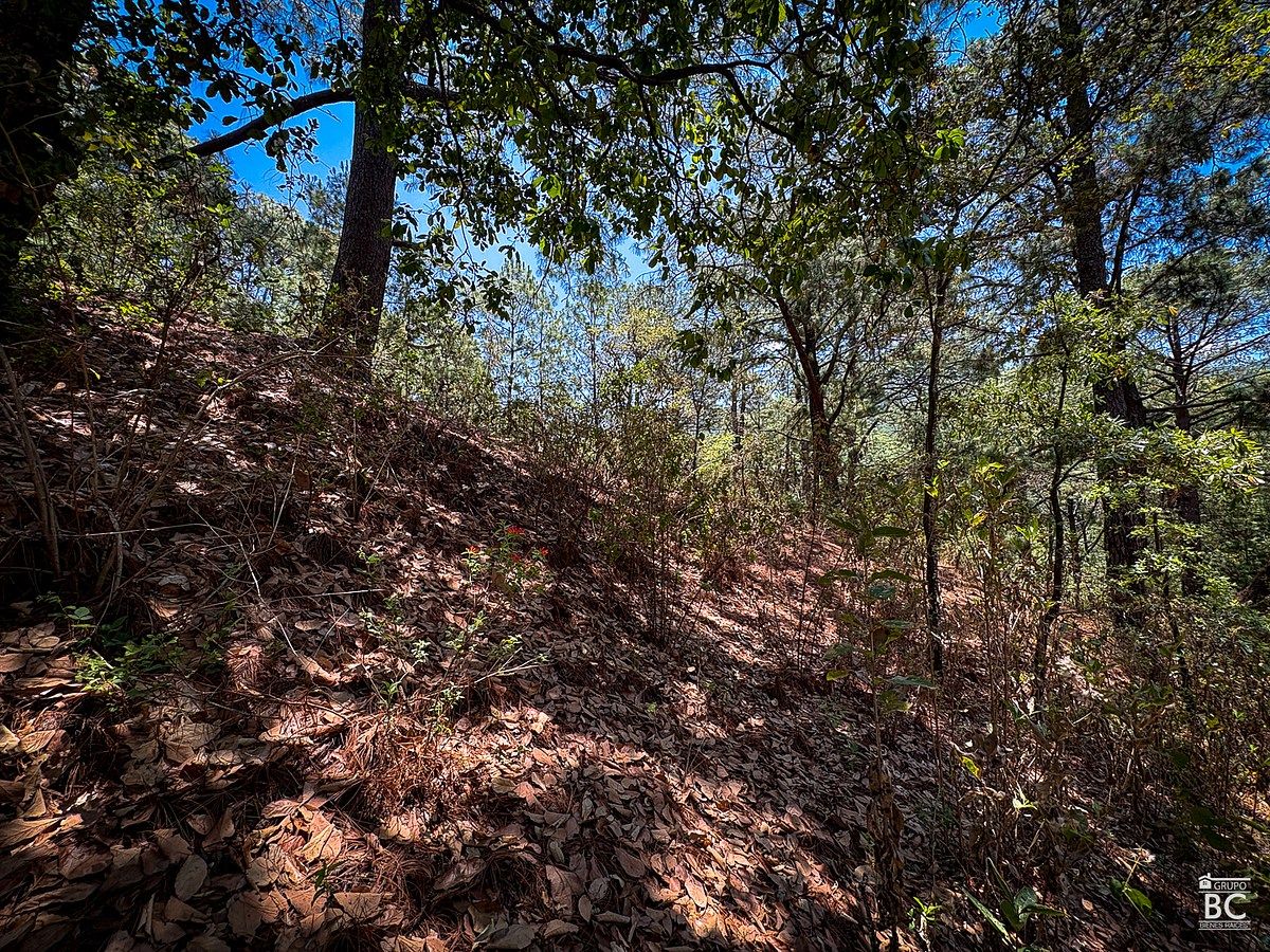 Terreno en Mazamitla. Excelente ubicación, en fraccionamiento. - foto 4