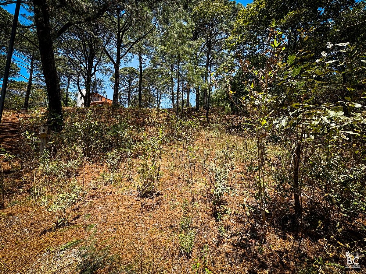 Terreno en Mazamitla. Excelente ubicación, en fraccionamiento. - foto 3