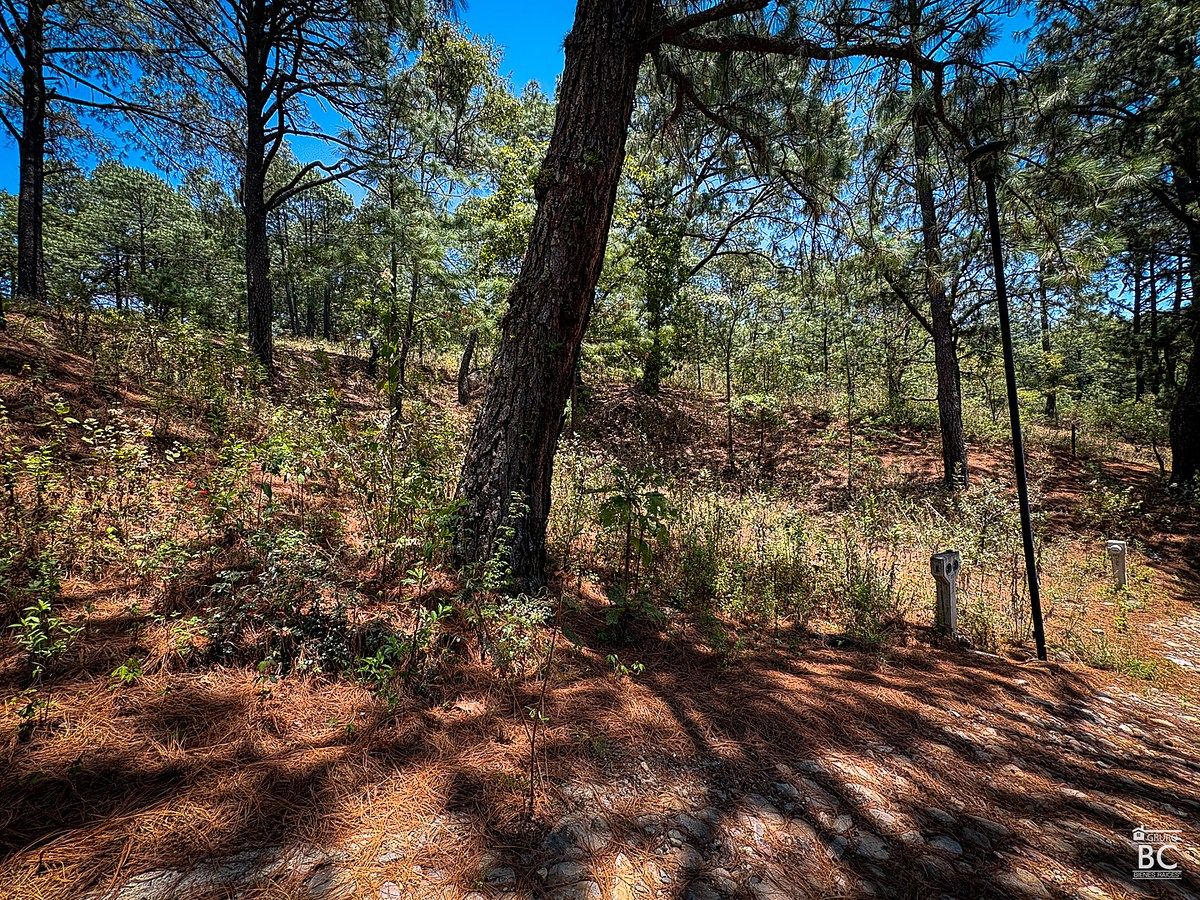 Terreno en Mazamitla. Excelente ubicación, en fraccionamiento. - foto 5