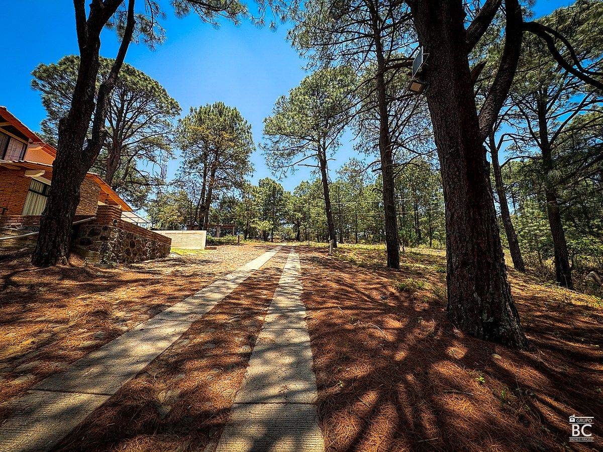 Terreno en Mazamitla. Excelente ubicación, en fraccionamiento. - foto 1