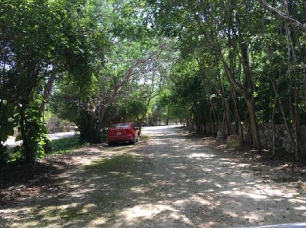 Terreno en Dzibilchaltún, Mérida, foto 4 de 10