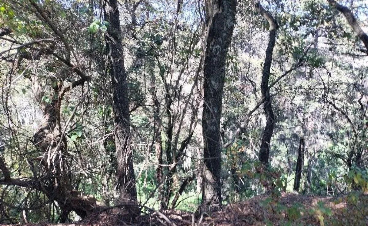Terreno en Jesús del Monte, Huixquilucan, foto 4 de 4
