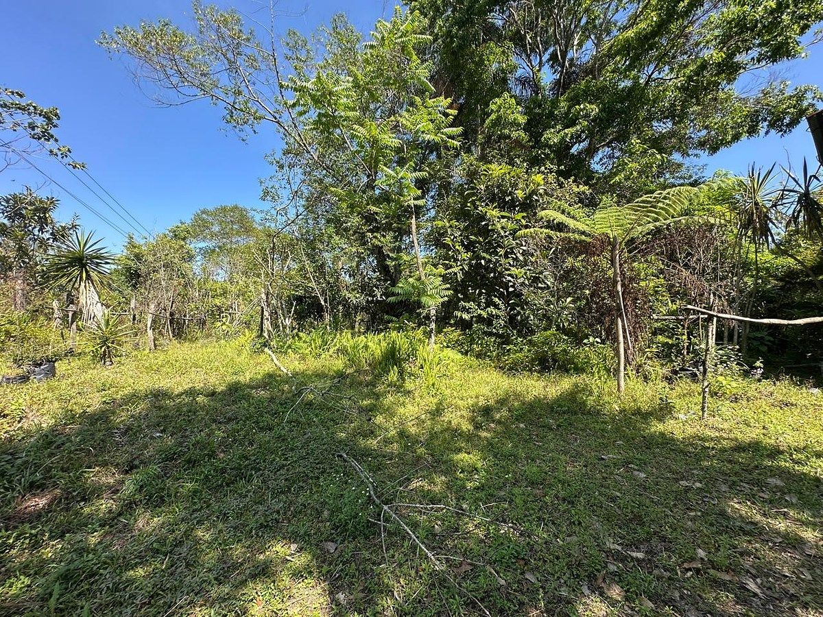 TERRENO EN VENTA - ZIHUATEUTLA, PUEBLA, foto 1 de 3