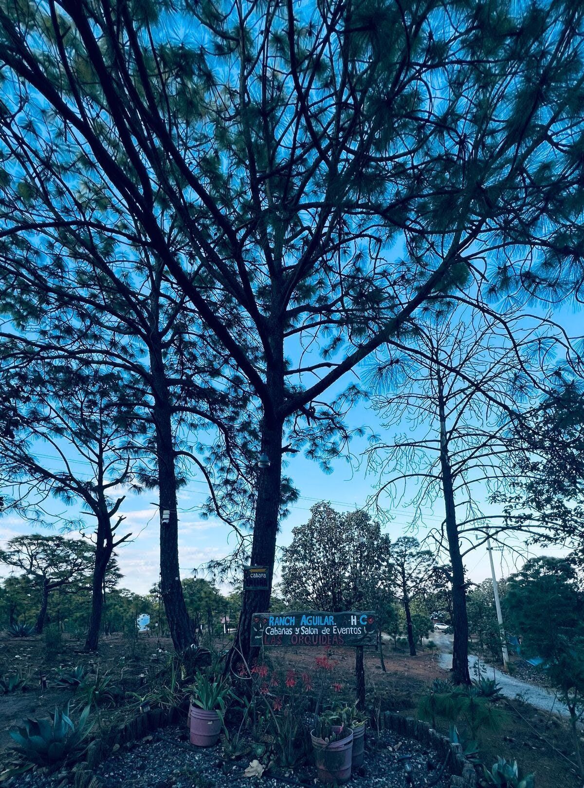 Rancho en San Martin Hidalgo, San Martín Hidalgo, foto 19 de 42