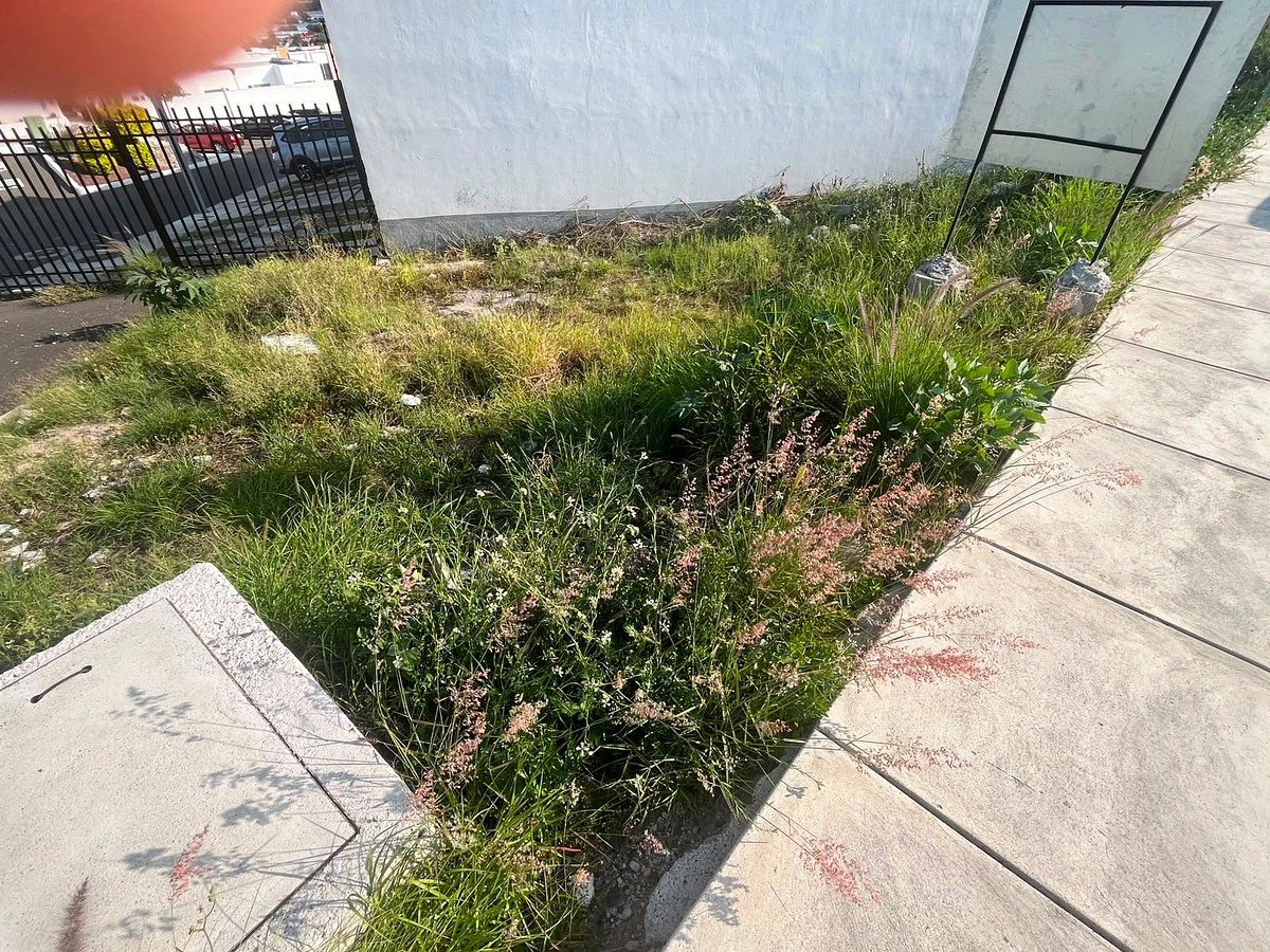 Lote em Colinas del Santuario, Corregidora, foto 8 de 14