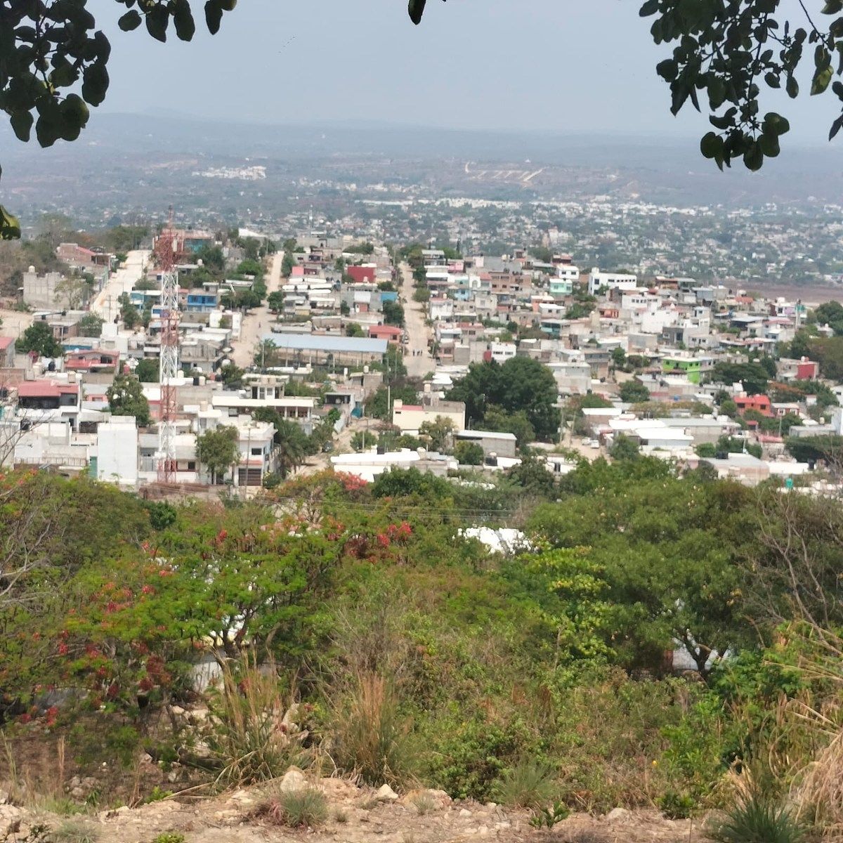 1 de 13