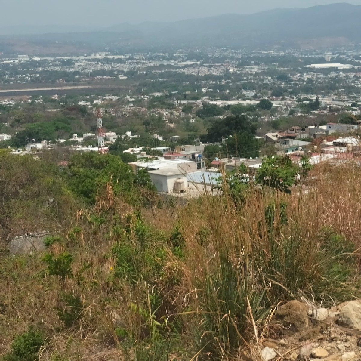 6 de 13