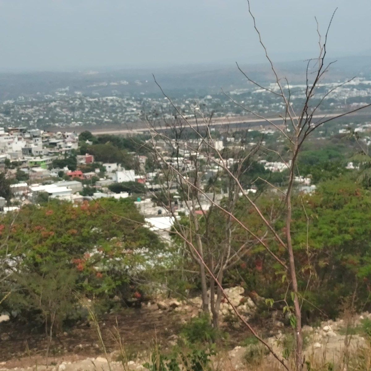 5 de 13