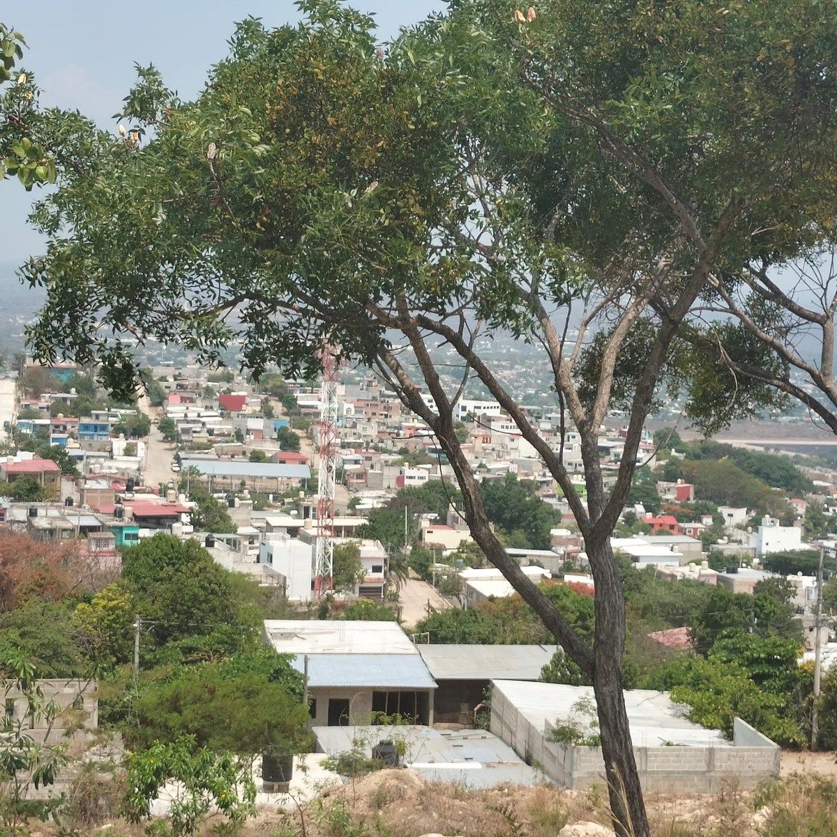 7 de 13