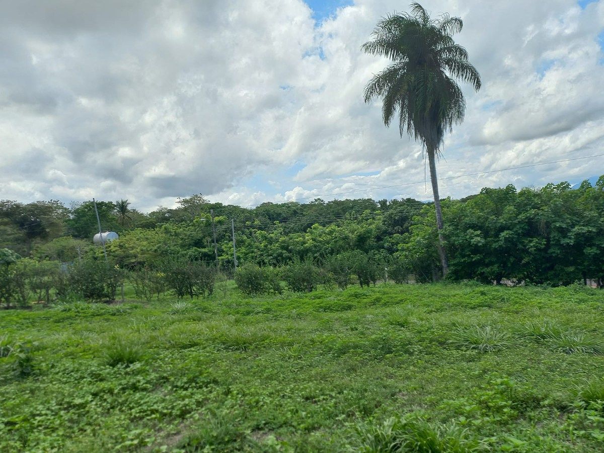 VENTA DE TERRENO EN SAN MATEO, OROTINA, USO DE SUELO MIXTO, foto 1 de 2