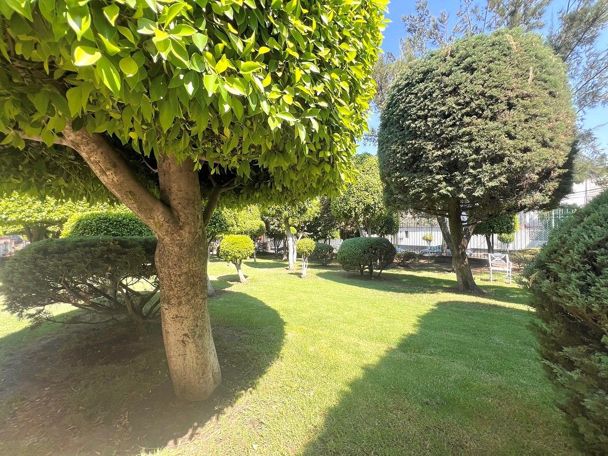 Apartment in Santa Úrsula Xitla, Tlalpan, photo 22 of 27