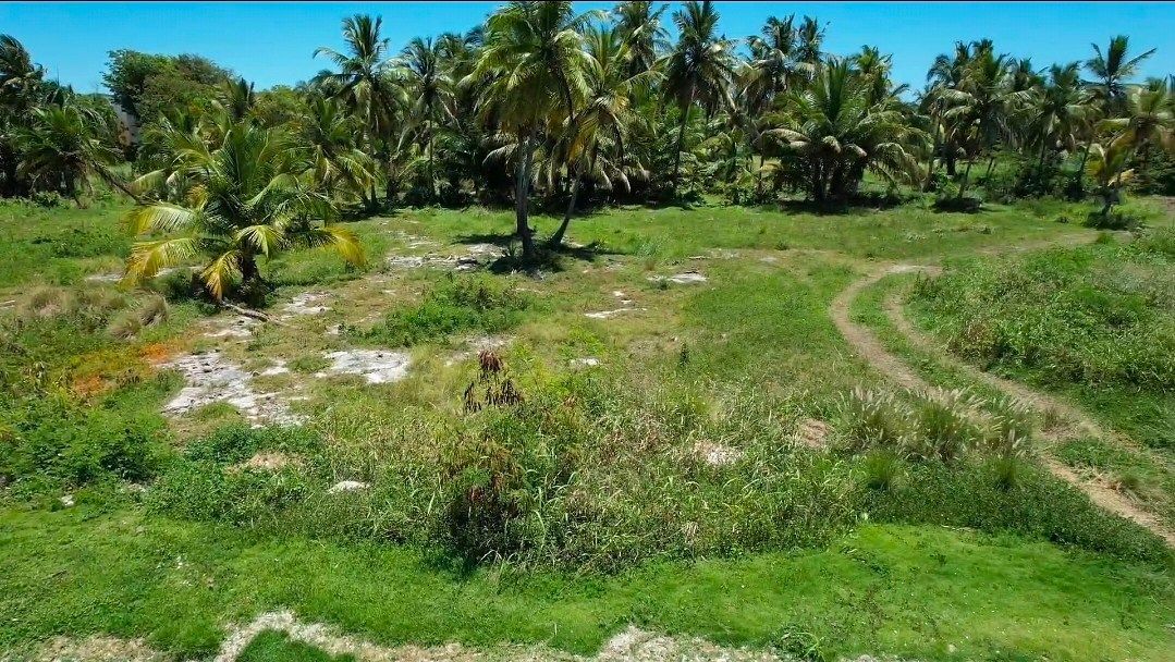 Terreno en white sand, Punta Cana, foto 2 de 5